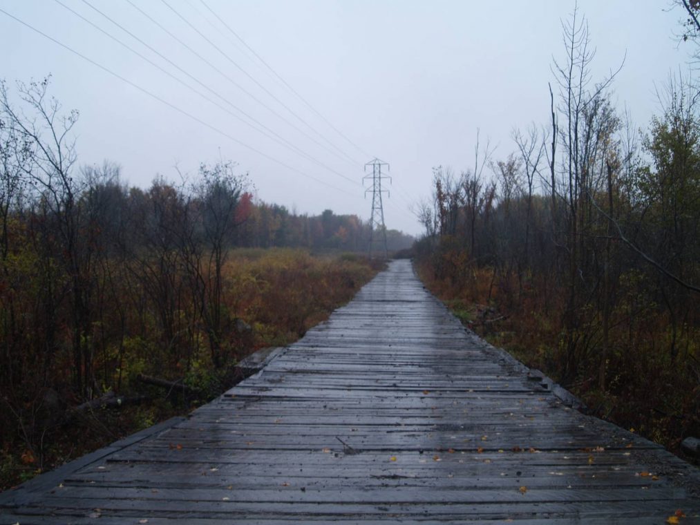 Mat Services & Products Northern Clearing Industry Leader in Right